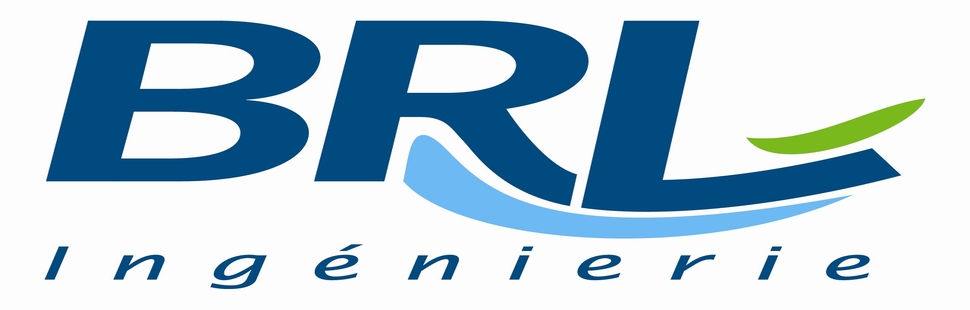 BRLi_logo_euniym