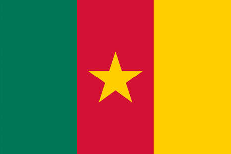 Drapeau Cameroun